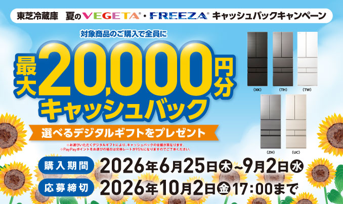 キャンペーンサイト